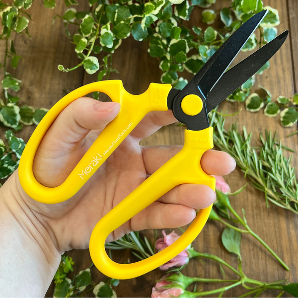 Set of Three, Summer Season Meraki Garden Shears