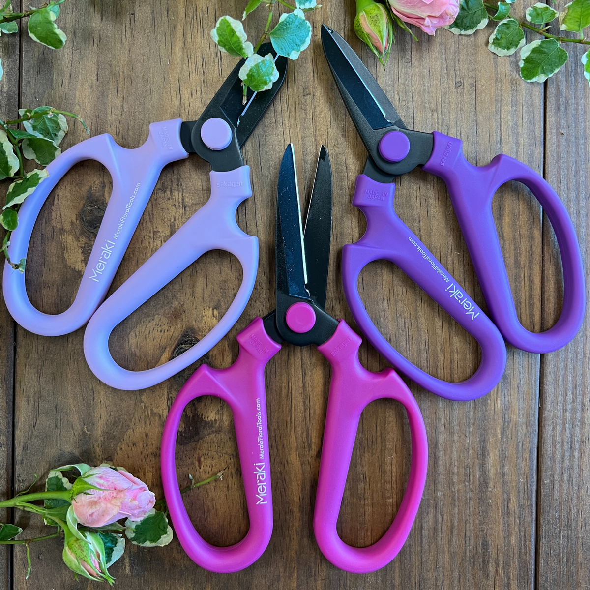 purpletrio_1200x1200.png?v=